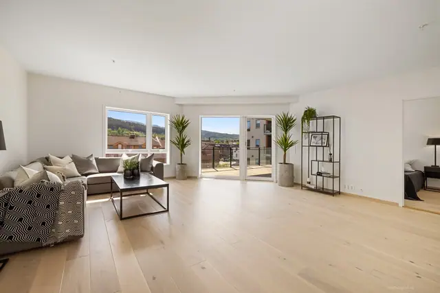 Flott stor stue med utgang til terrasse
