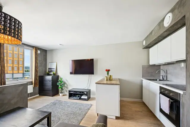 Tollbugata 29A, Drammen — bilde 4