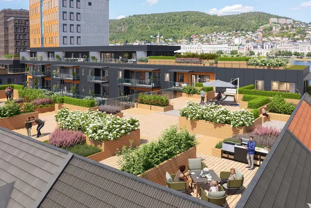 Felles takterrasse.