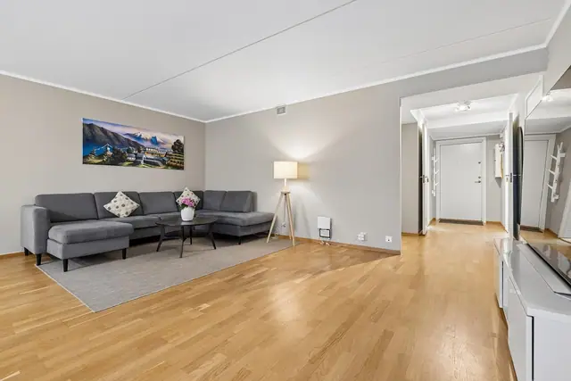 I stuen finner du parkett på gulv og malte veggflater