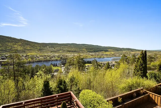 Rolige og grønne omgivelser i nærområdet.