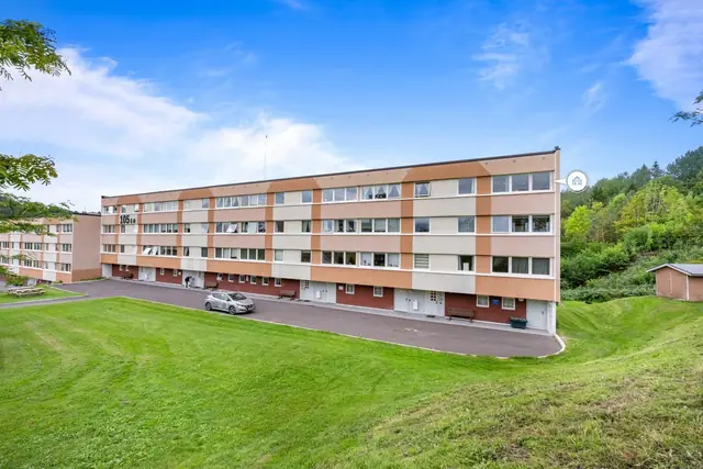 Hyggelige uteområder i rolige omgivelser.