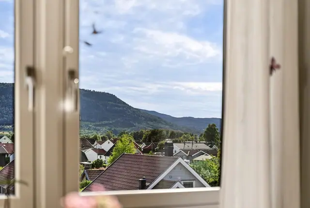 Hyggelig utsikt!